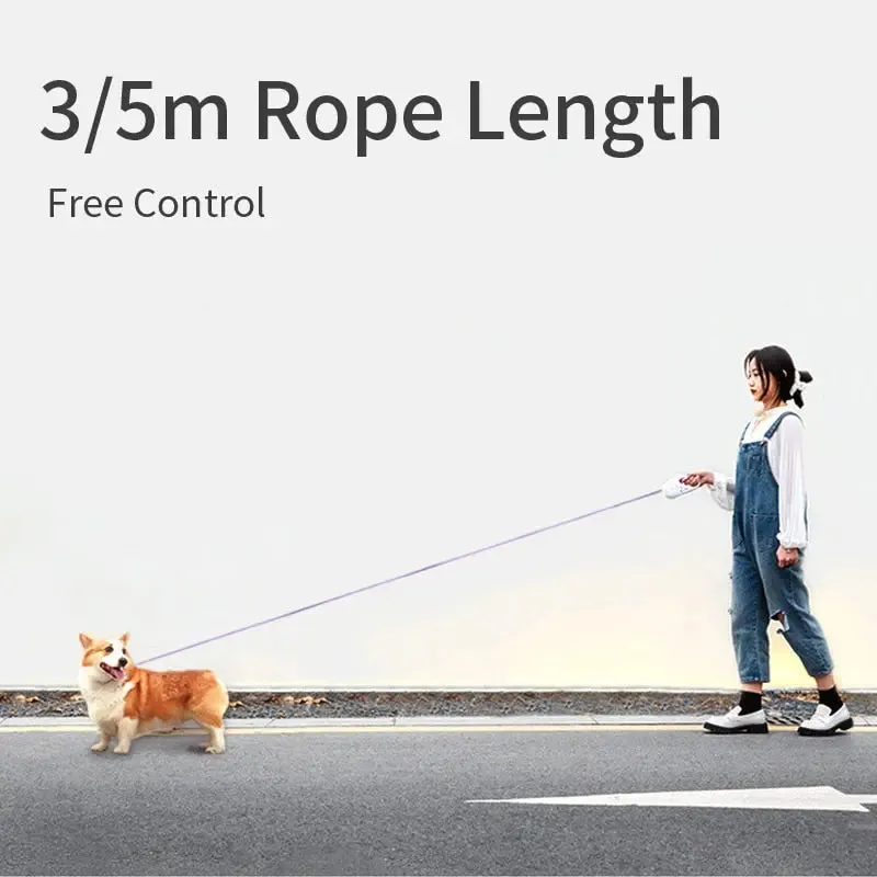 Automatic Retractable Lighting Dog Leash -Retractable Dog Leash