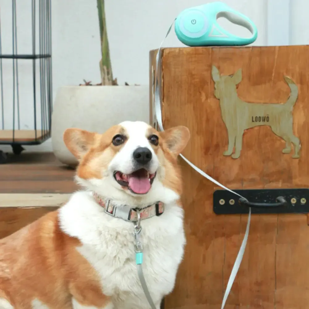 Automatic Retractable Lighting Dog Leash -Retractable Dog Leash
