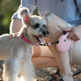 Automatic Retractable Walking Leash