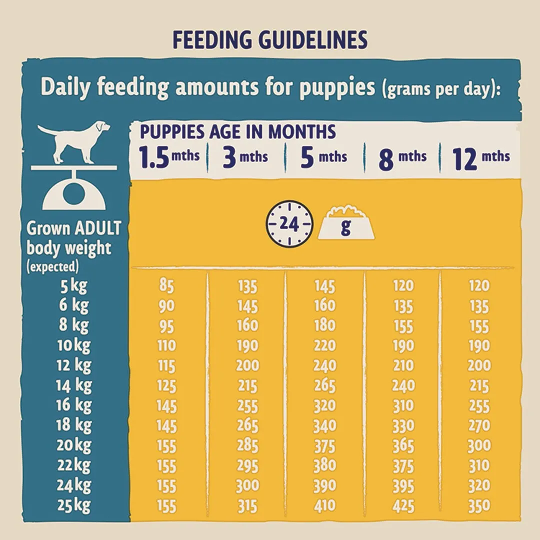 Beta | Dry Dog Food | Puppy | Chicken - 2kg