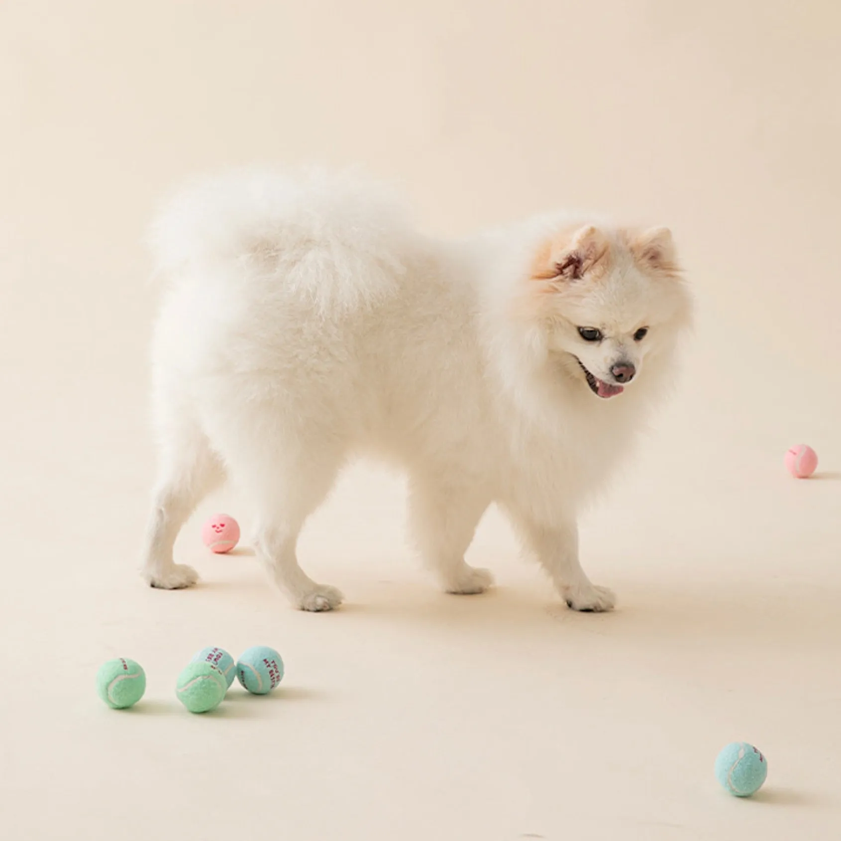 即納【BITE ME】New Mini Tennis Balls Toy