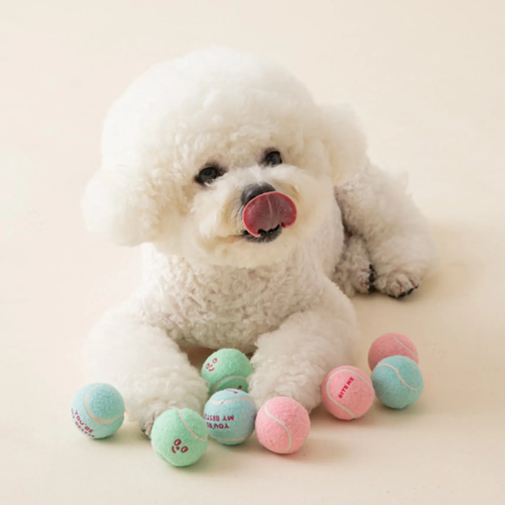 即納【BITE ME】New Mini Tennis Balls Toy