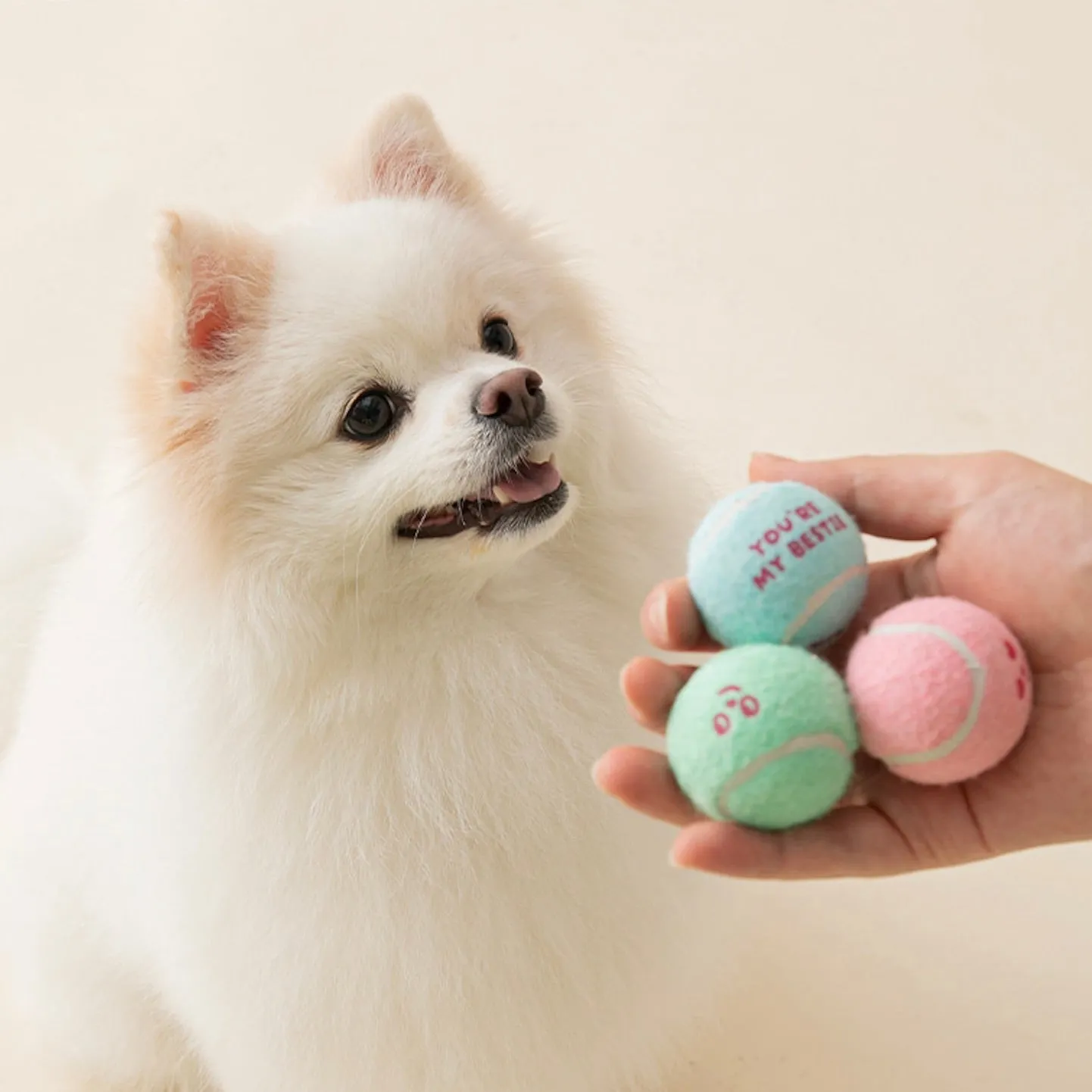 即納【BITE ME】New Mini Tennis Balls Toy