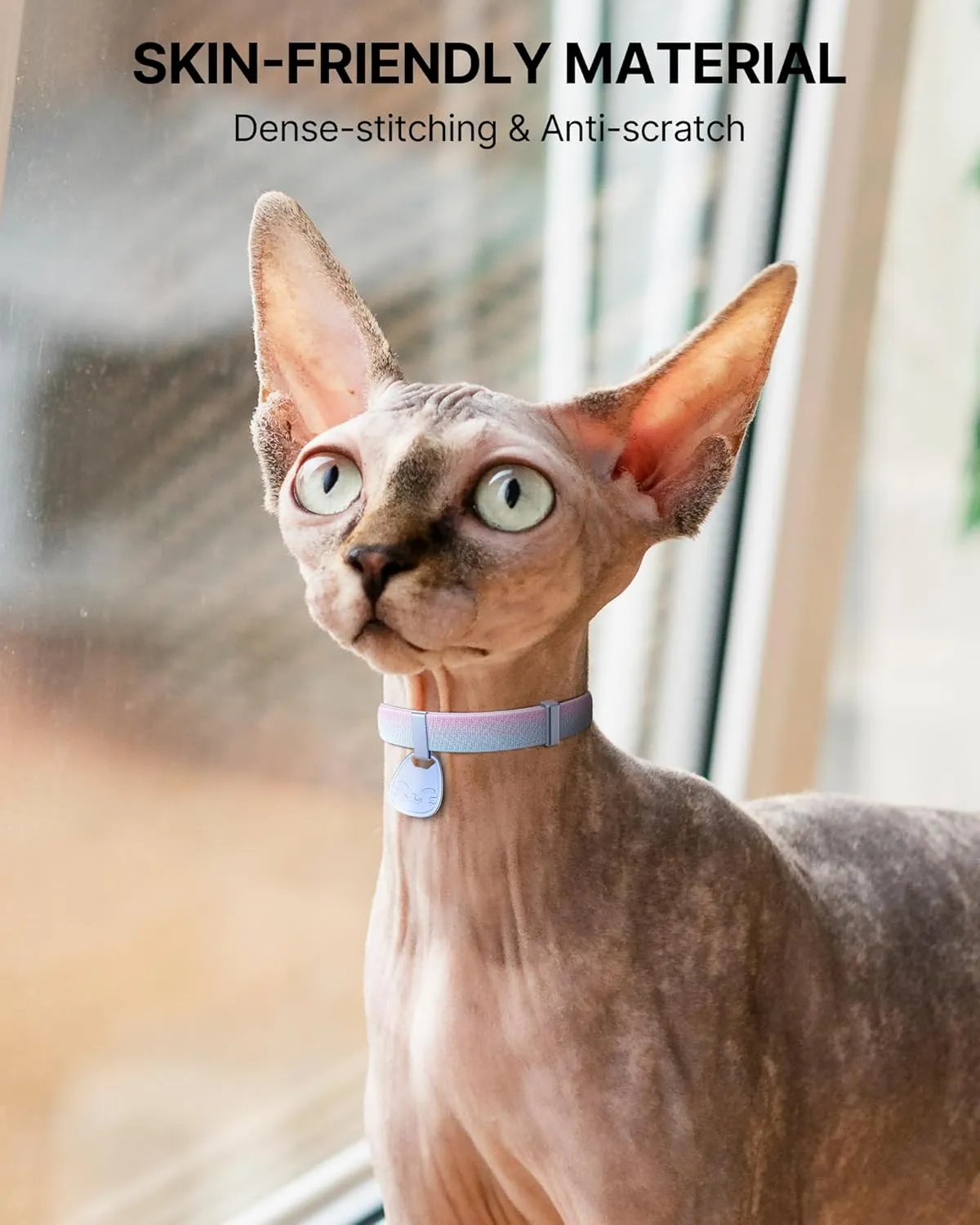 Cat Collar with Name Tag Breakaway: Kitten Collars with QR Code ID Tag for Girl Boy Cats, Ultra Soft & Elastic Adjustable (6"-12") Cat Collar with Break Away Safety Buckle, Iridescent