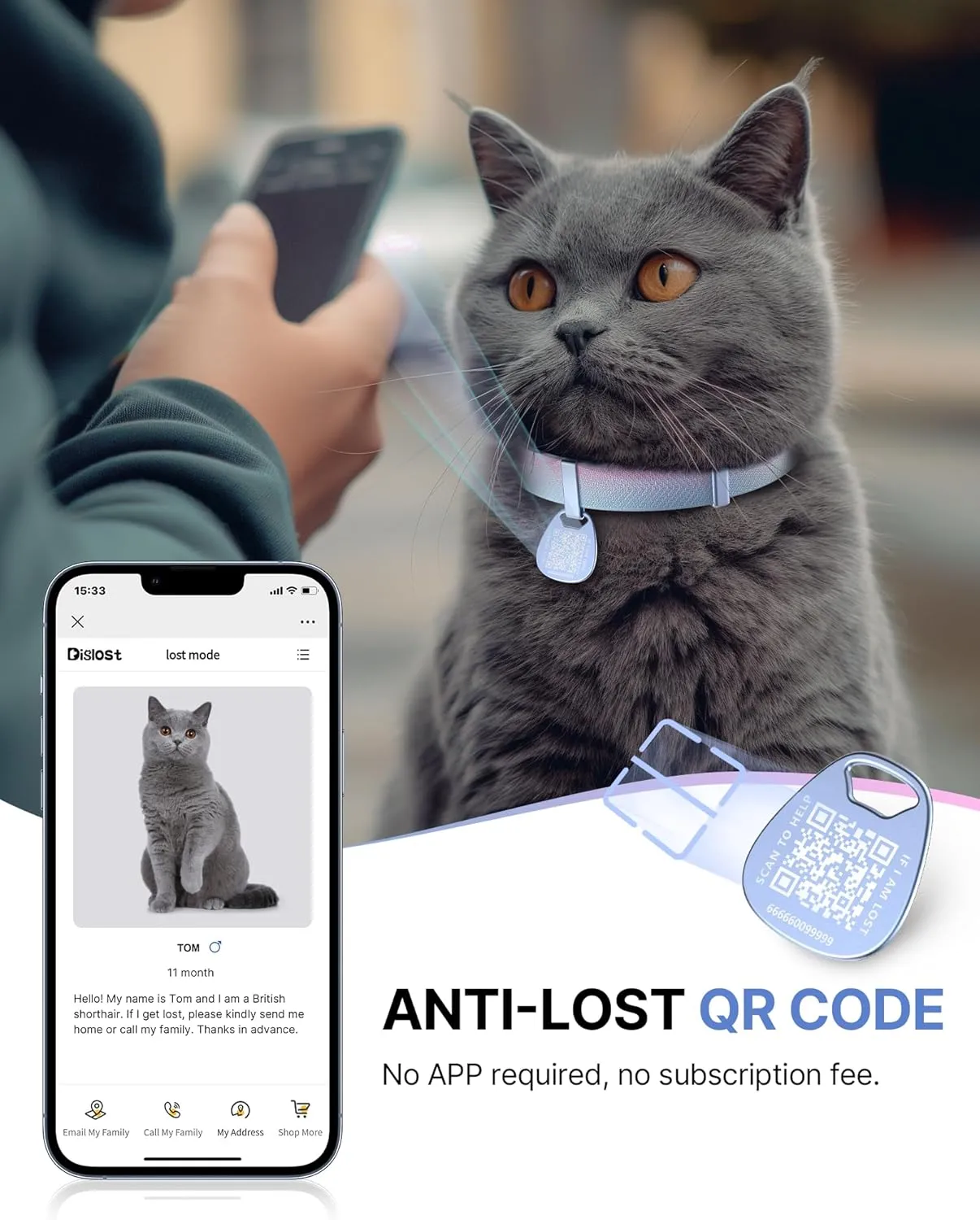 Cat Collar with Name Tag Breakaway: Kitten Collars with QR Code ID Tag for Girl Boy Cats, Ultra Soft & Elastic Adjustable (6"-12") Cat Collar with Break Away Safety Buckle, Iridescent