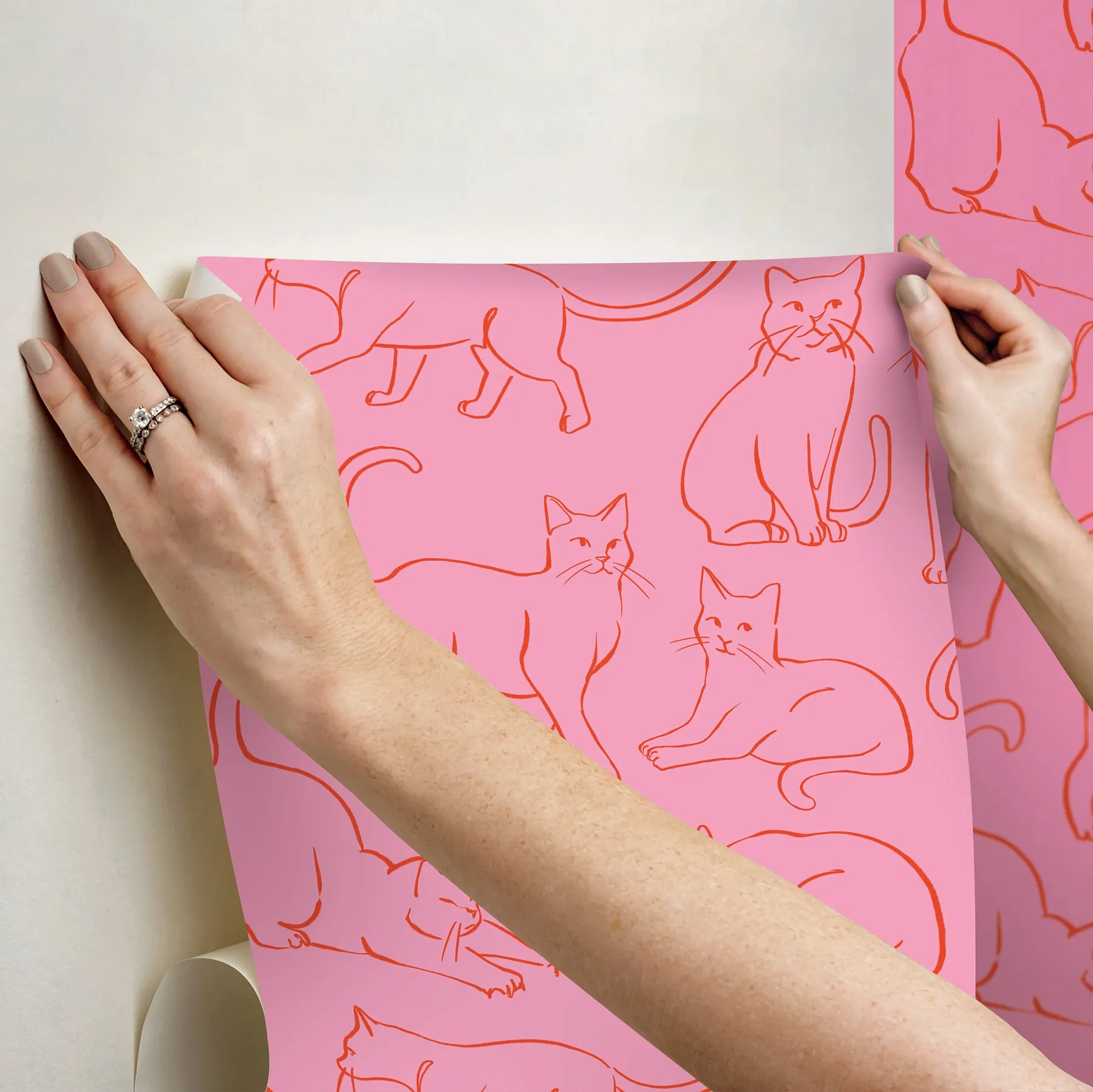 Cat Poses Peel & Stick Wallpaper