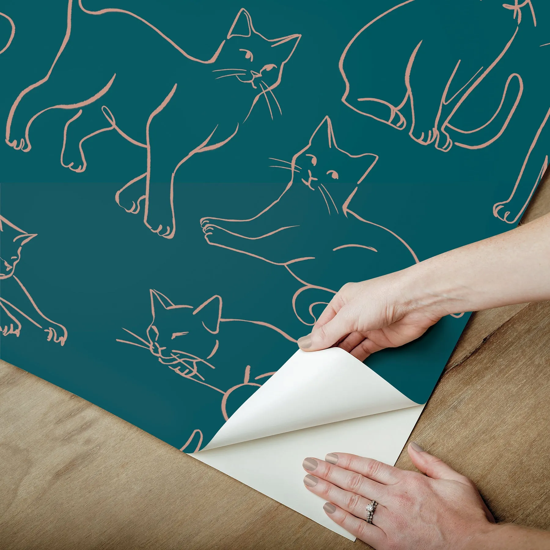 Cat Poses Peel & Stick Wallpaper