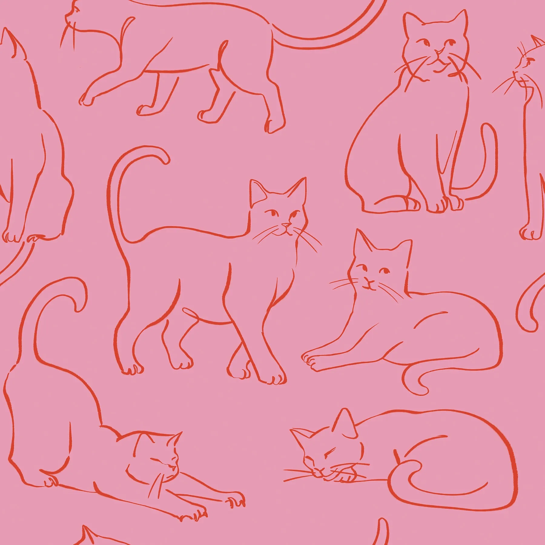 Cat Poses Peel & Stick Wallpaper