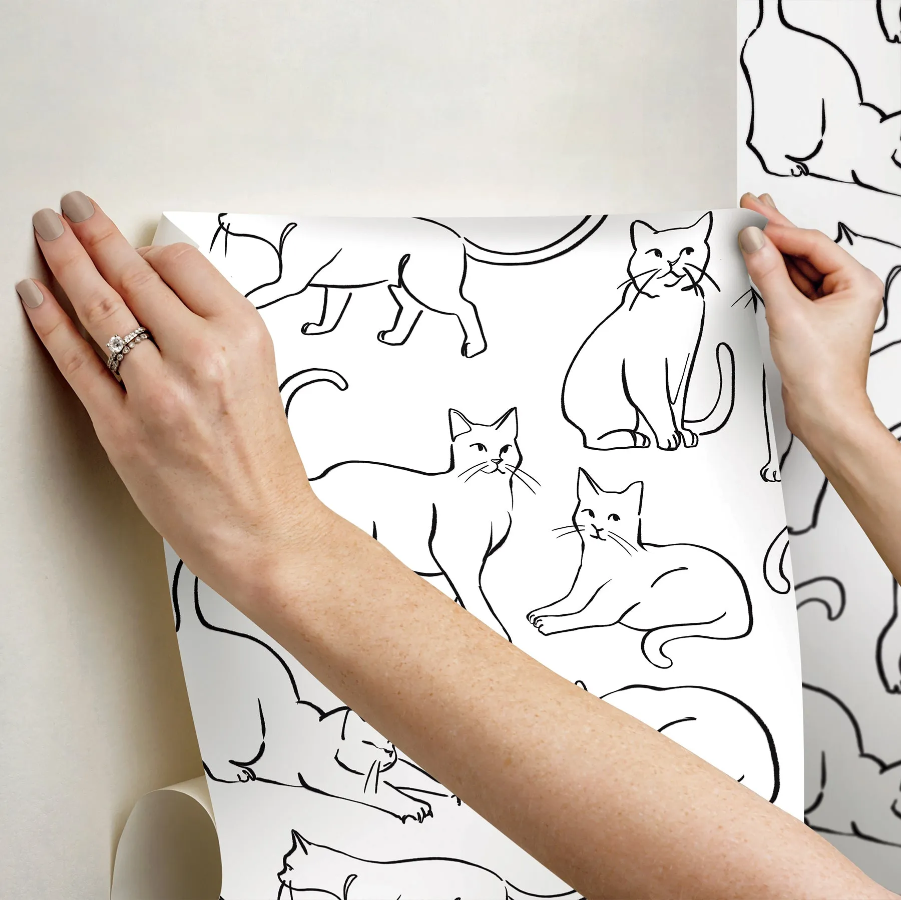 Cat Poses Peel & Stick Wallpaper