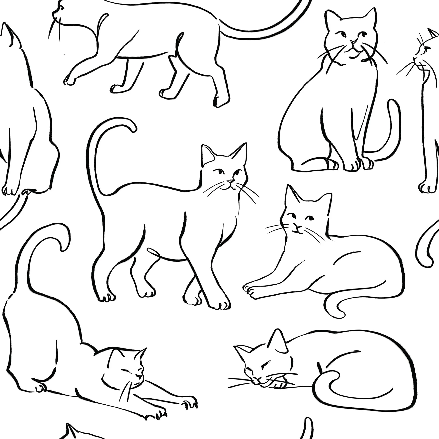 Cat Poses Peel & Stick Wallpaper