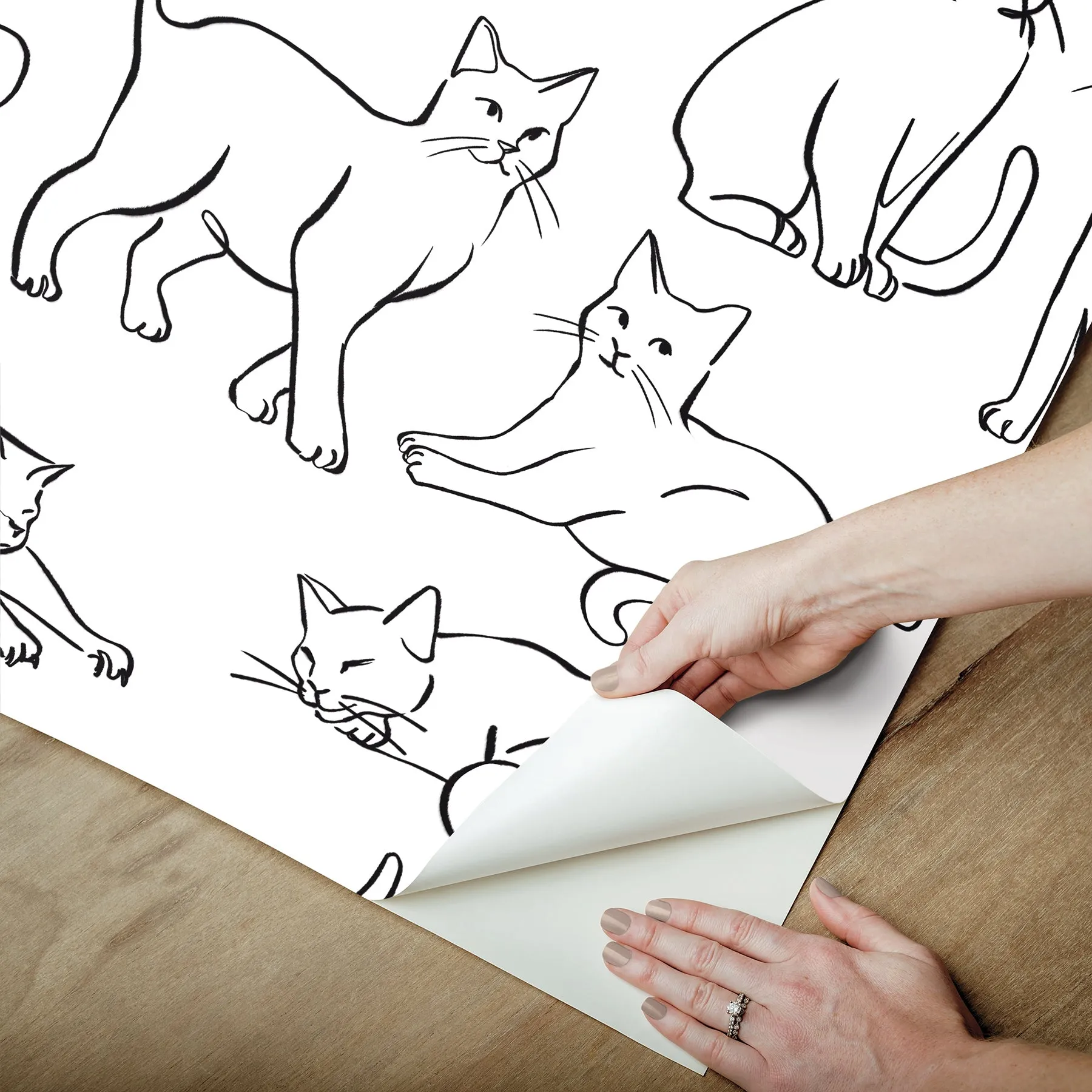 Cat Poses Peel & Stick Wallpaper