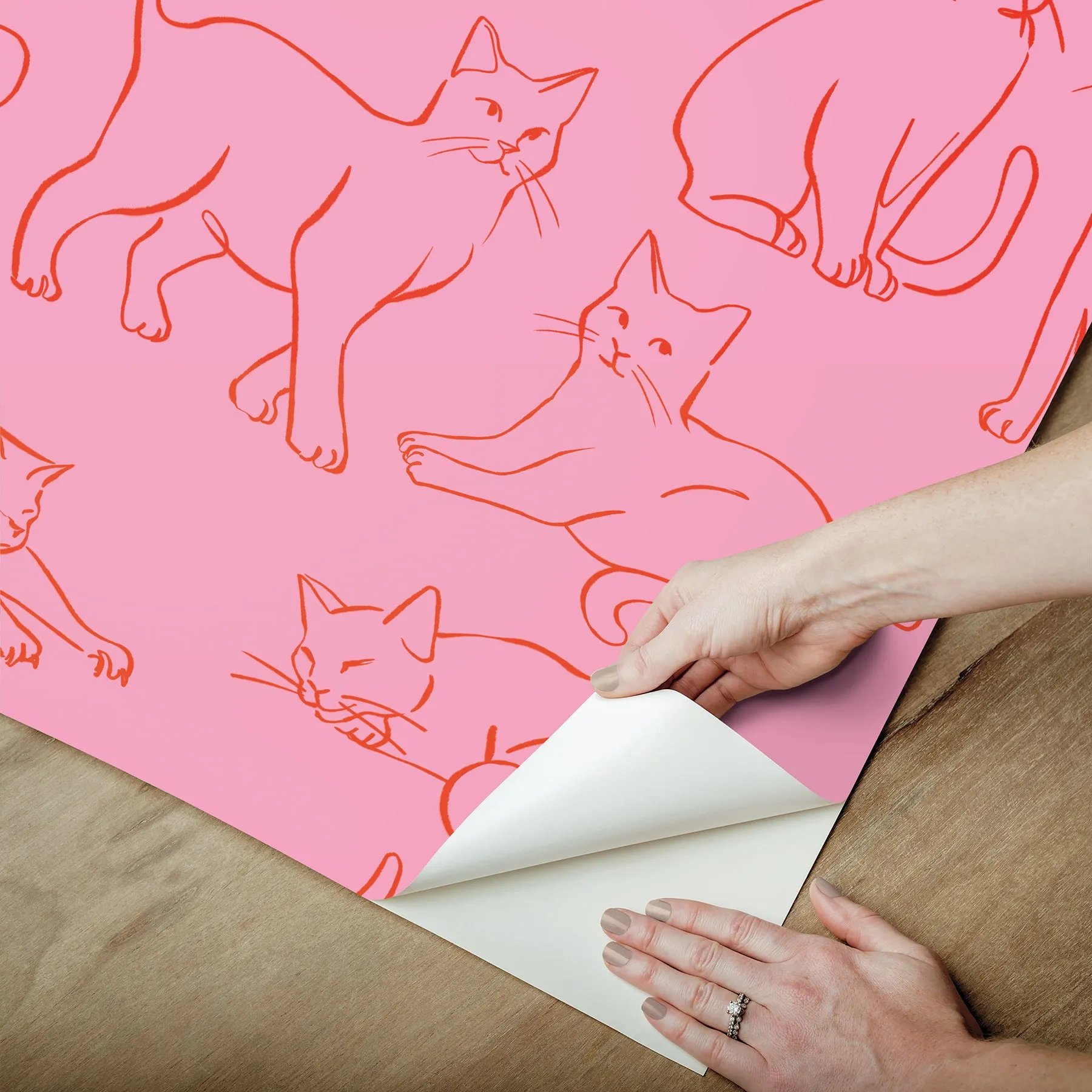 Cat Poses Peel & Stick Wallpaper