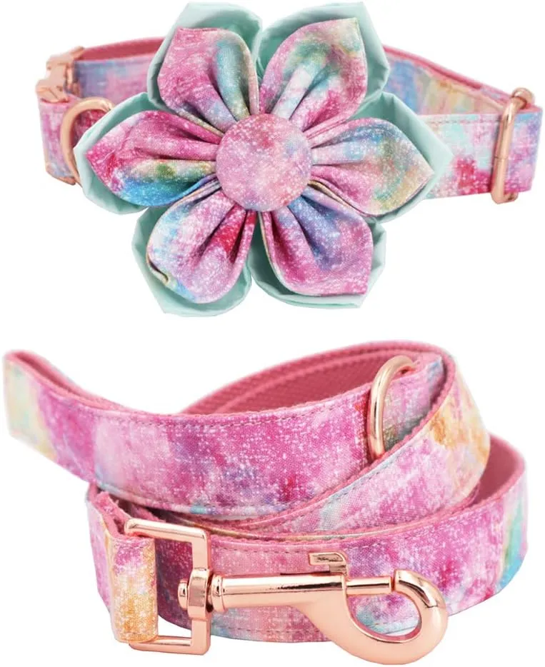 Cute Dog Collar, Girl Dog Collar with Purple Watercolor Design Adjustable with Rose Gold Slide Release Buckle, New Puppy Gifts (M)