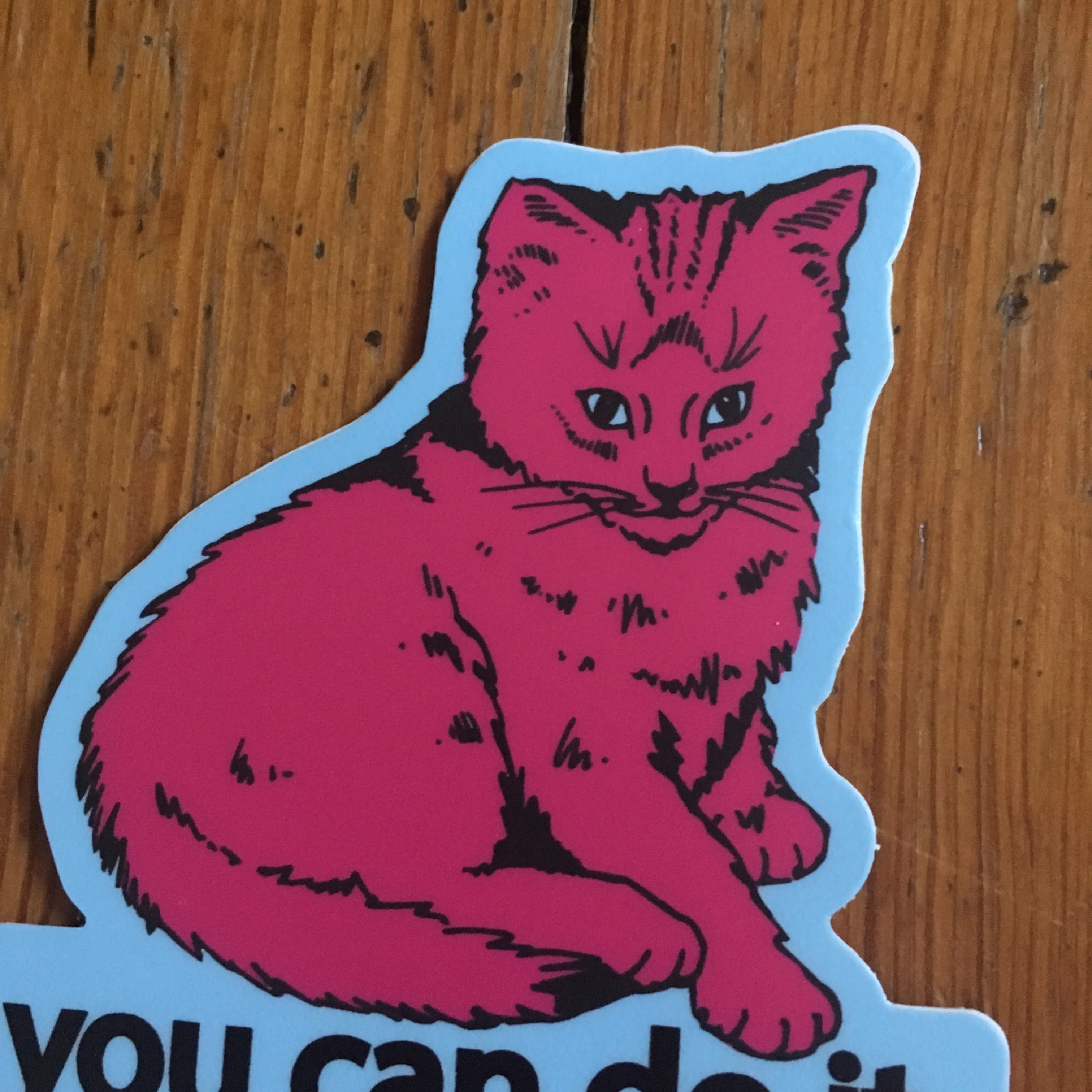 Focus Cat Sticker