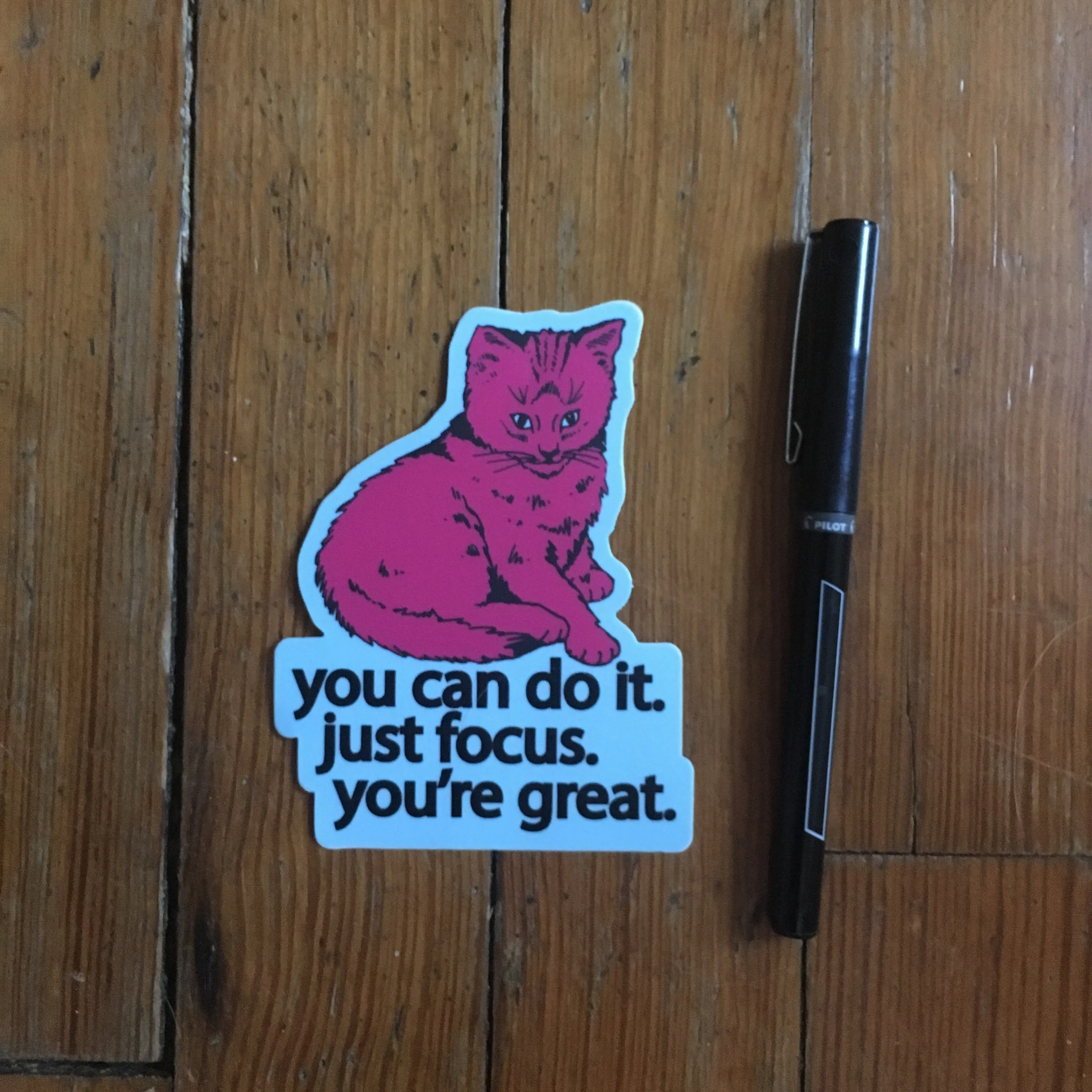Focus Cat Sticker