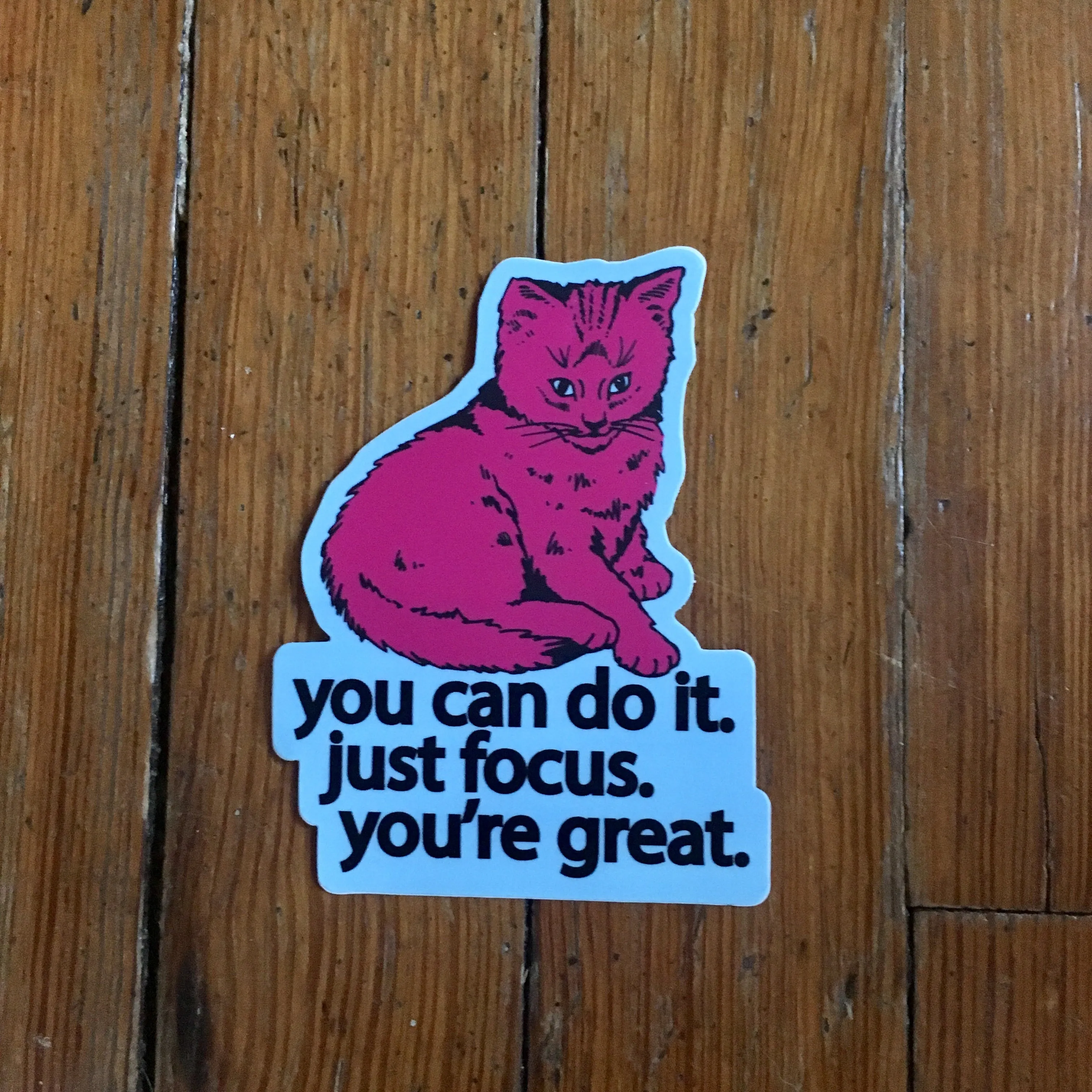 Focus Cat Sticker
