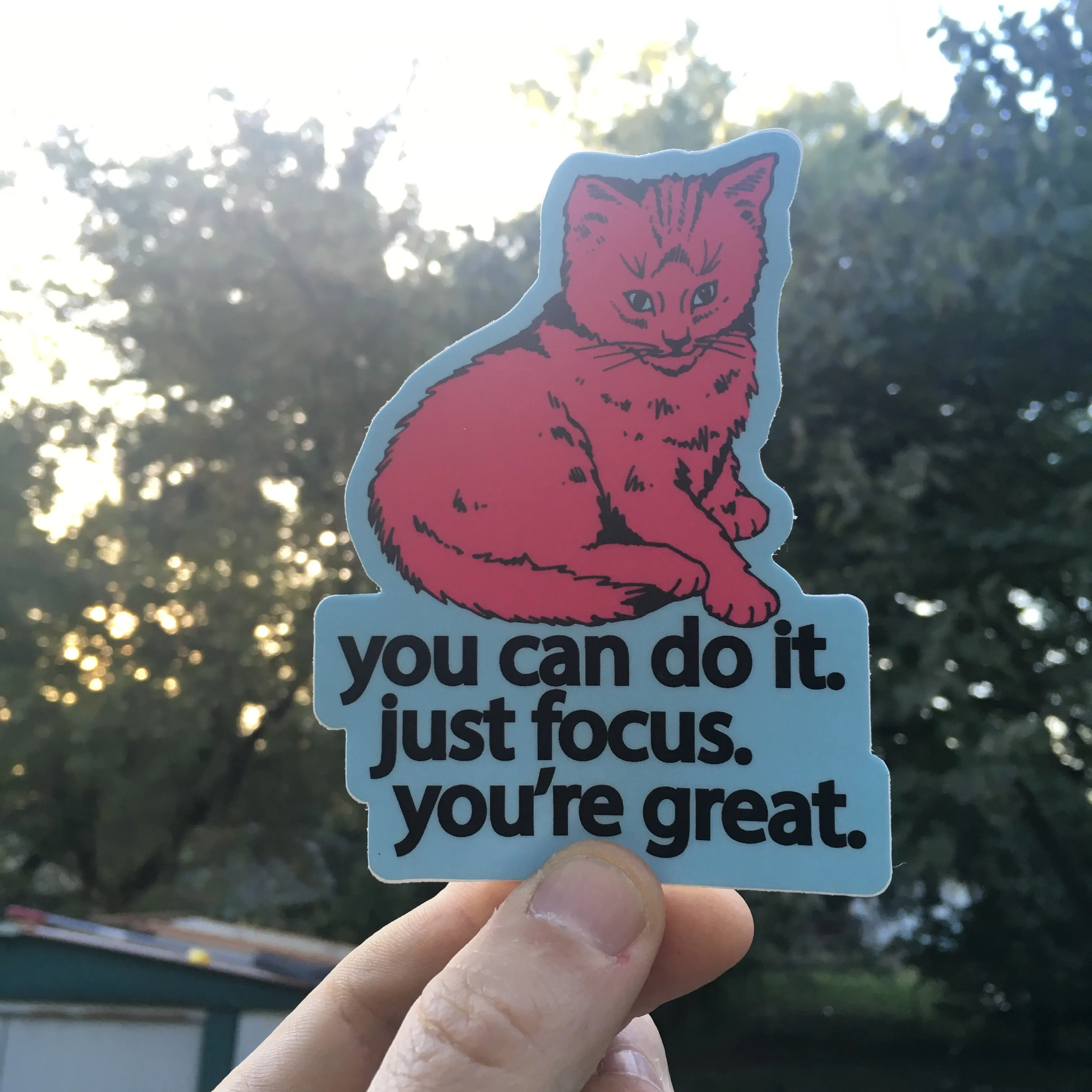 Focus Cat Sticker