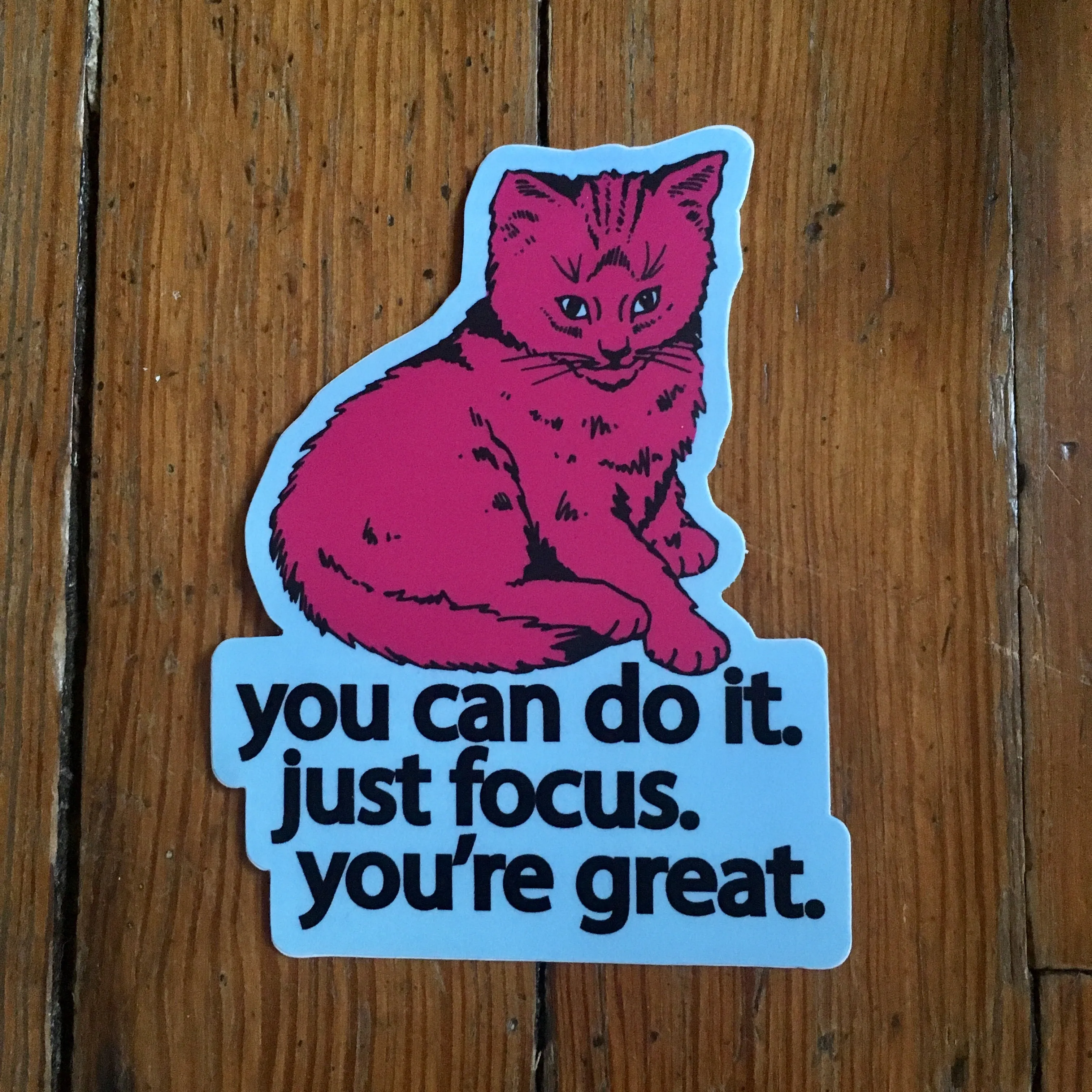 Focus Cat Sticker