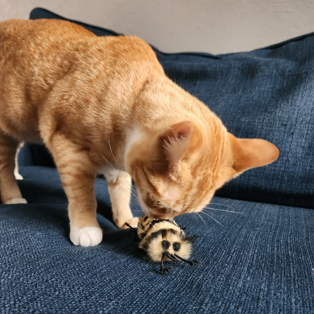 Go Cat Da Cat-A-Pila Cat Toy
