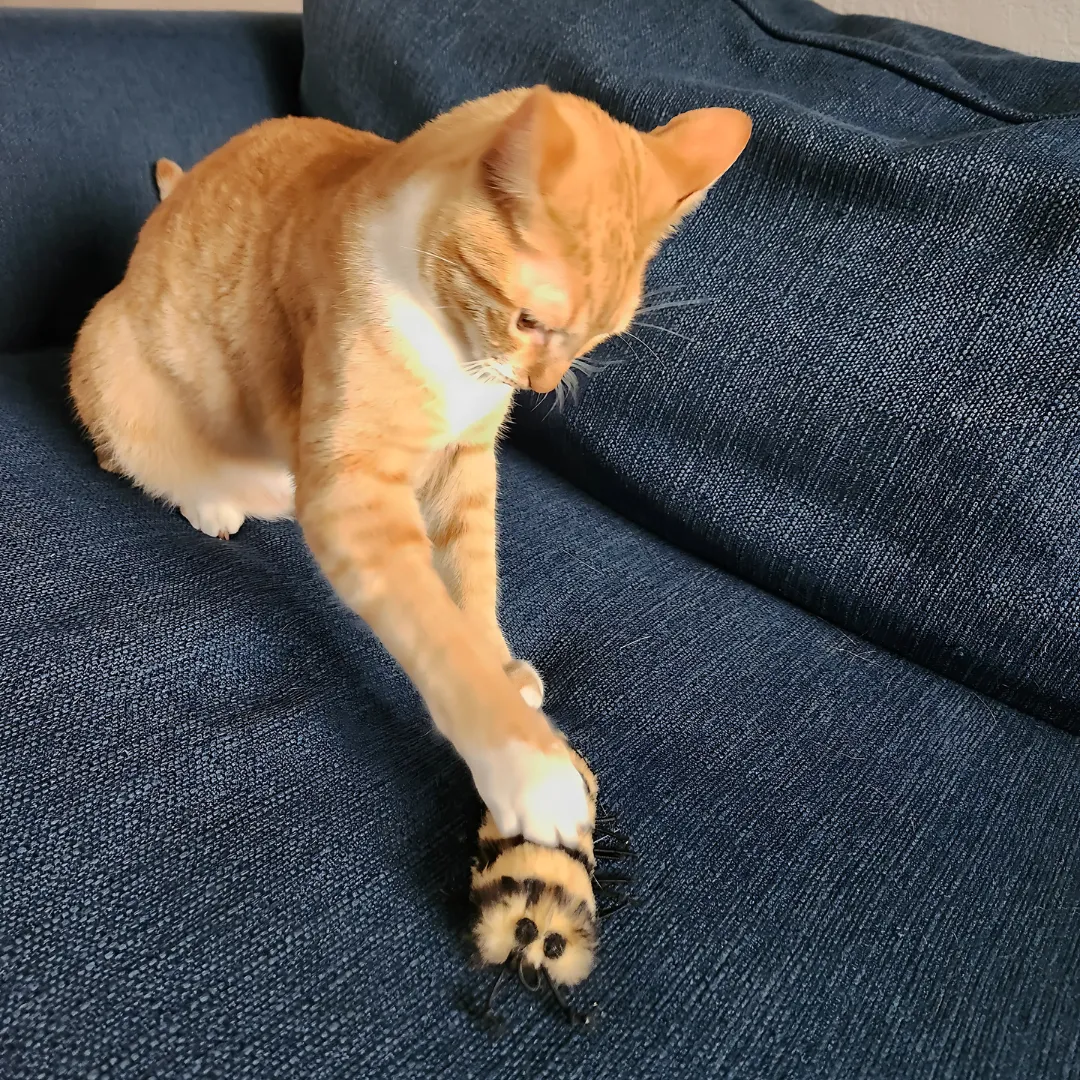 Go Cat Da Cat-A-Pila Cat Toy