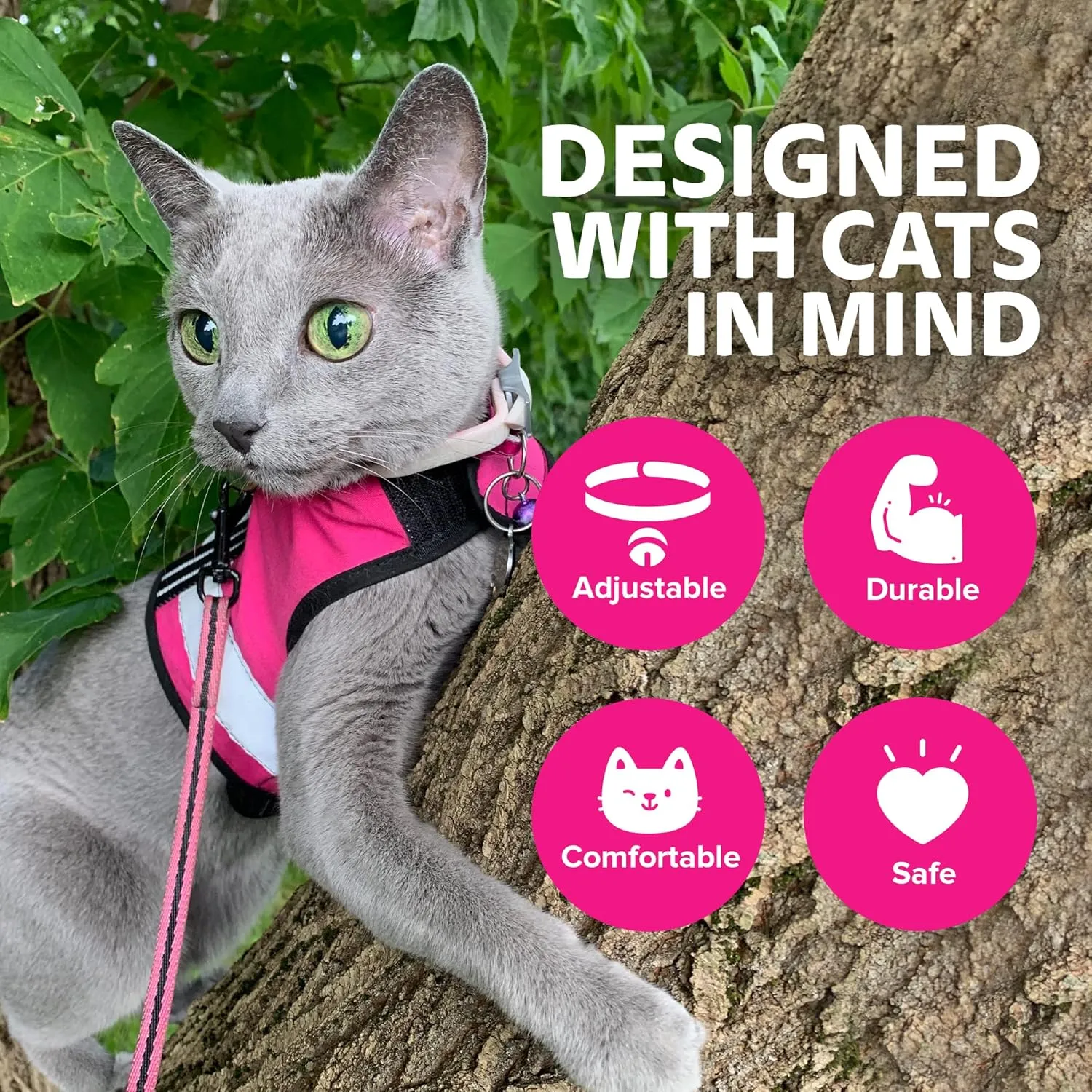 Kitty  - , |  |  - ,M  L