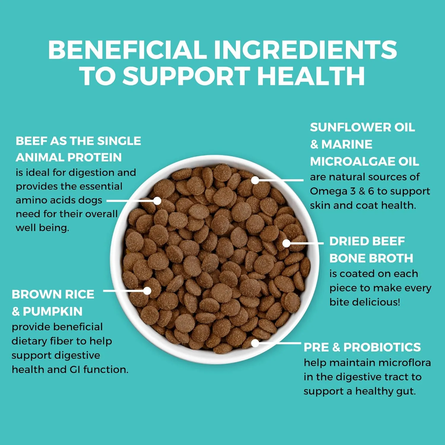KOHA Limited Ingredient Bland Diet Dry Food for Dogs - Beef & Brown Rice Recipe, Sensitive Stomach Dog Food - Pumpkin for Digestive Support, 3.5 lbs
