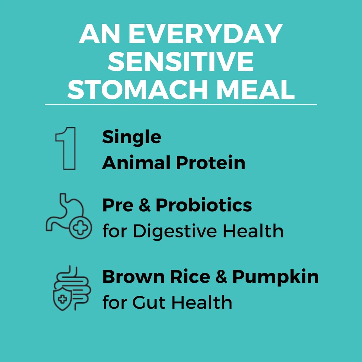 KOHA Limited Ingredient Bland Diet Dry Food for Dogs - Beef & Brown Rice Recipe, Sensitive Stomach Dog Food - Pumpkin for Digestive Support, 3.5 lbs