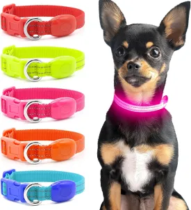 Light Up Dog Collar - Reflective LED Puppy Collar Rechargeable, Glow in The Dark Cat Collar Safety Dog Lights for Night Walking (XS, Pink)