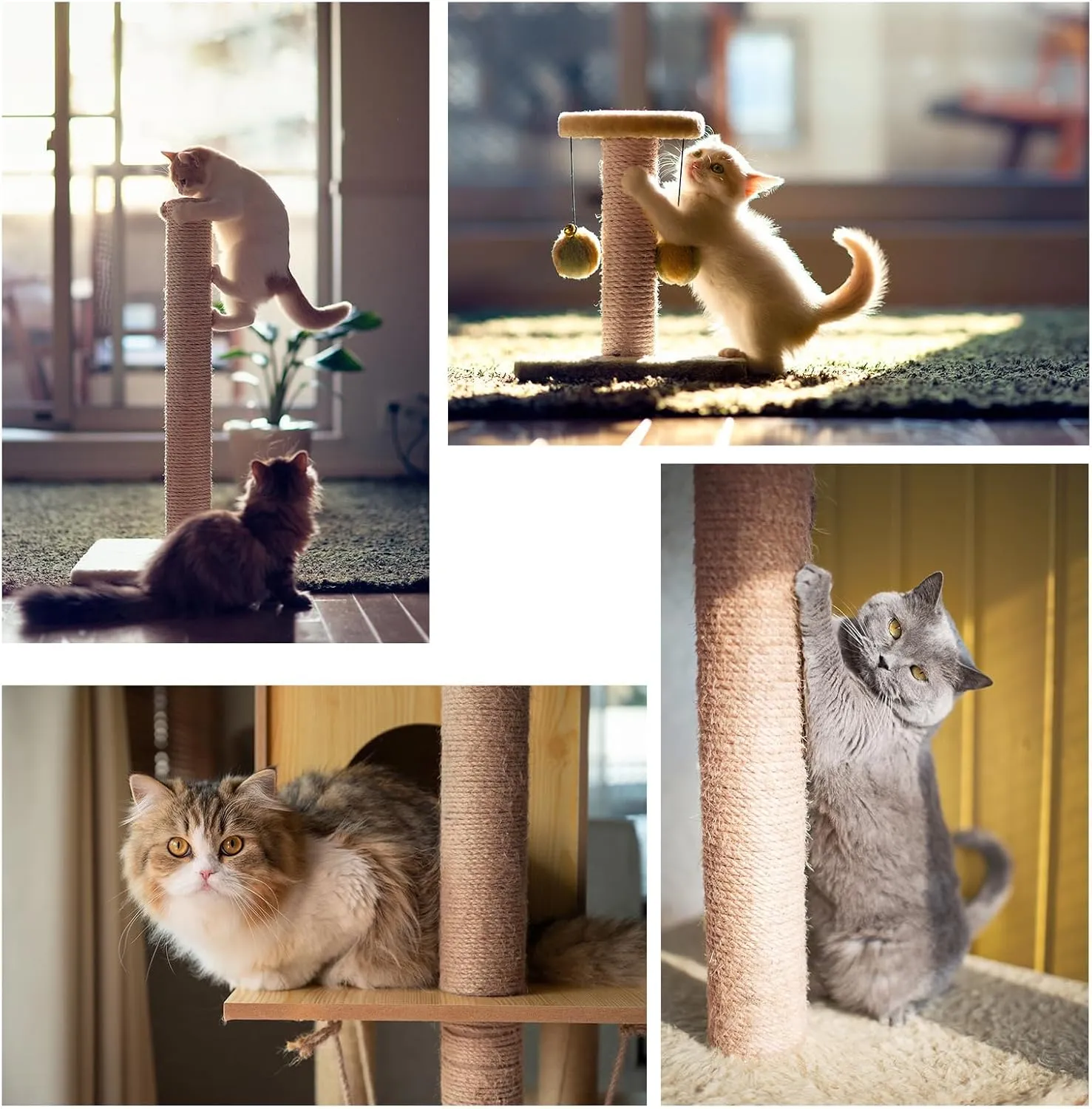 Natural Sisal Rope for Cat Scratcher,Cat Tree Rope Twine for Cat Scratching Post Replacement, Cat Tower with Scratch Post Repairing, Replace, Recovering and DIY1/4 Inch by 165 Feet