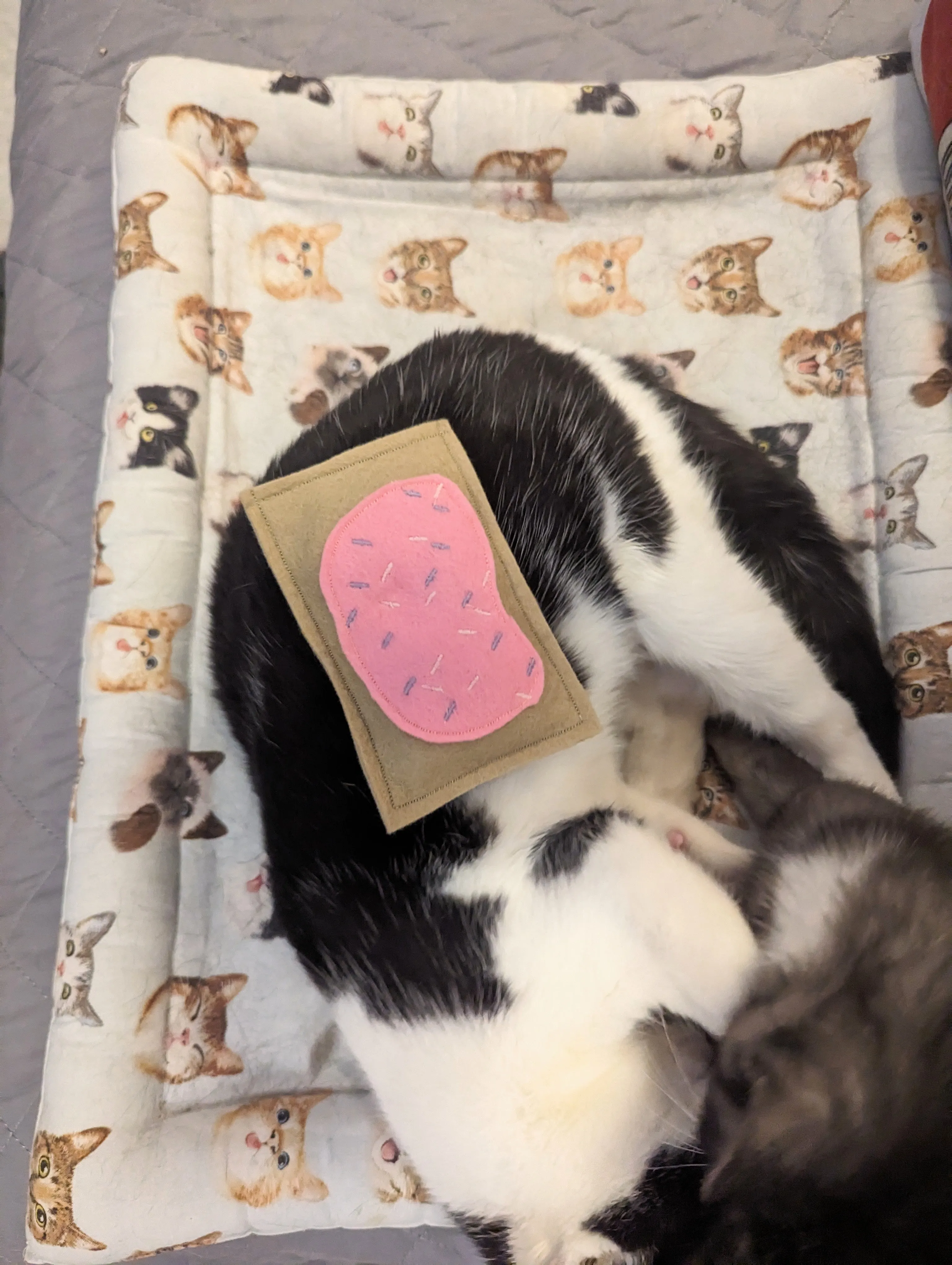 One Catnip & Silvervine Hand Tart Toy White