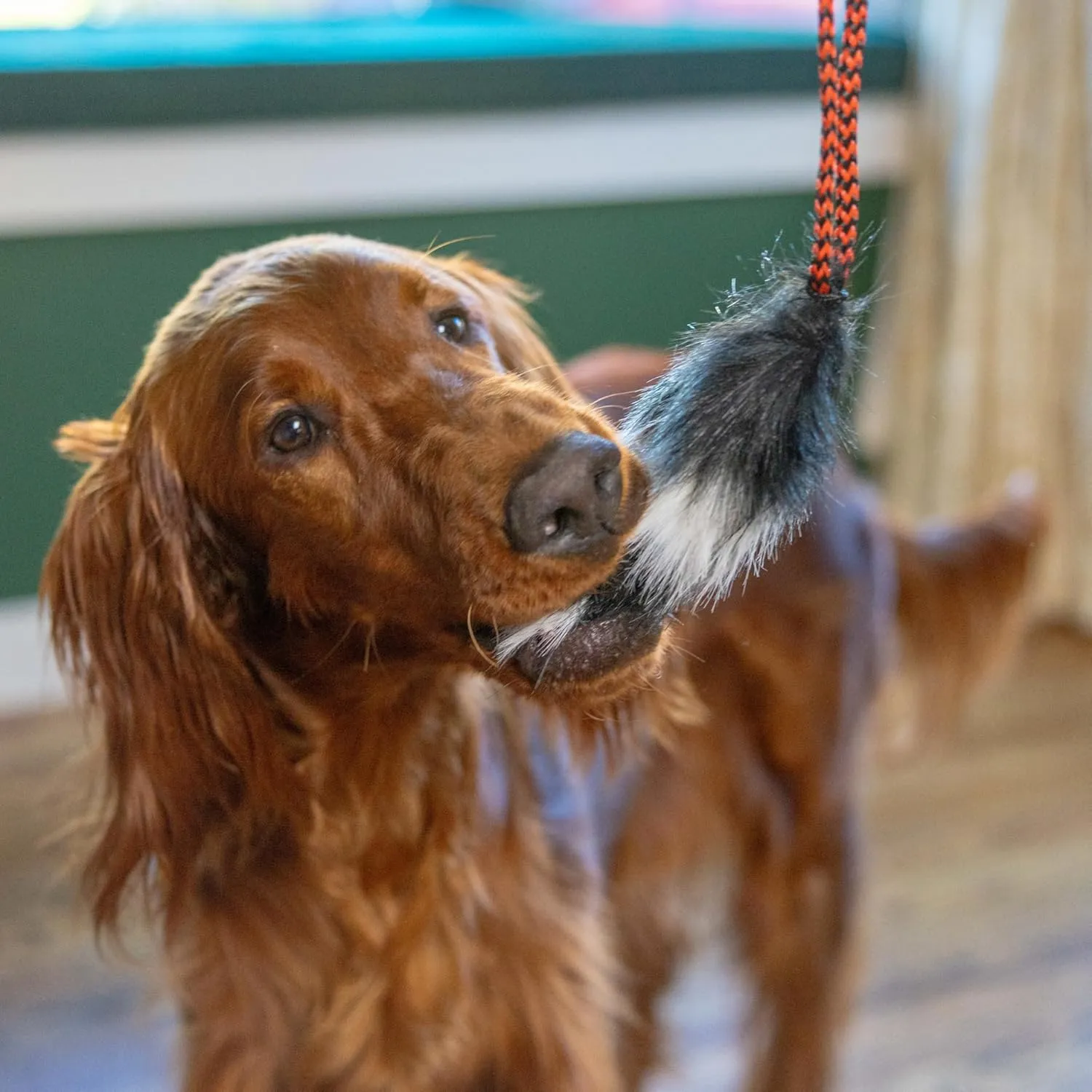 Outward Hound Tail Teaser Replacement Lure for Dog Teaser Wand, Brown