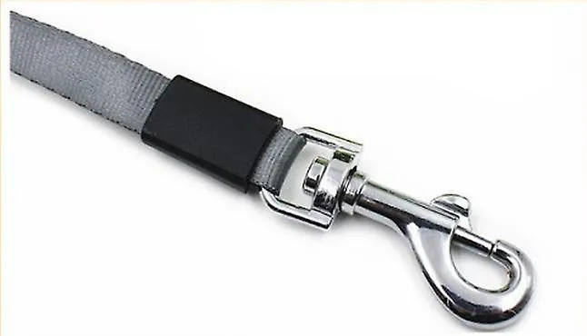 Pet leashes pet automatic extending dog leash 5m 50kg abs retractable traction rope walking lead roulette