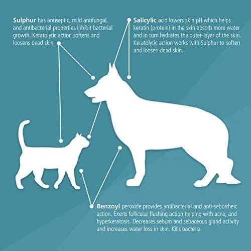 Pet MD Benzoyl Peroxide Medicated Shampoo for Dogs and Cats, Effective for Seborhhea, Dandruff, Mange, Itch Relief, Acne and Folliculitis, Citrus Scent, 12 oz.