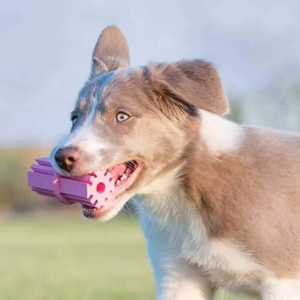 Puppy Teething Stick