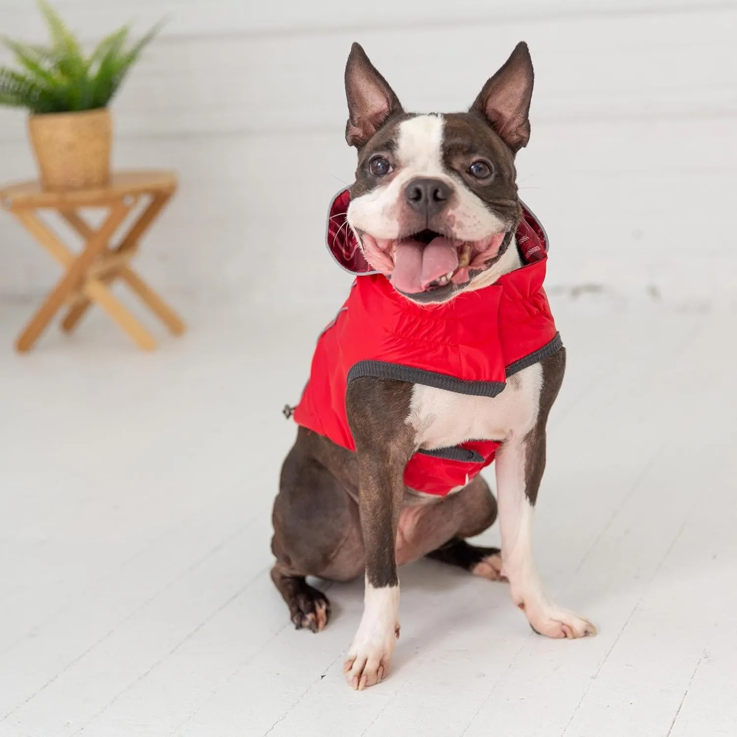 Reversible Raincoat (XXXX-Large, Red)