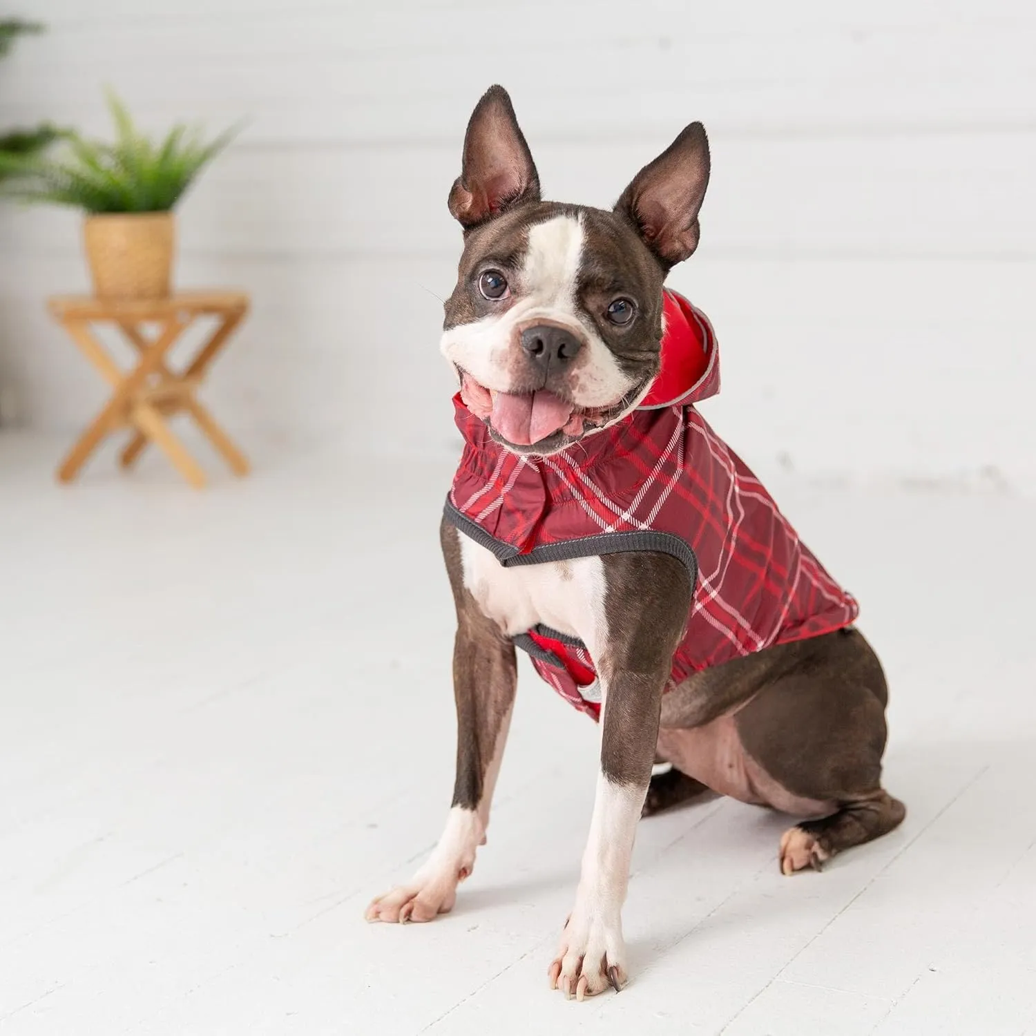 Reversible Raincoat (XXXX-Large, Red)