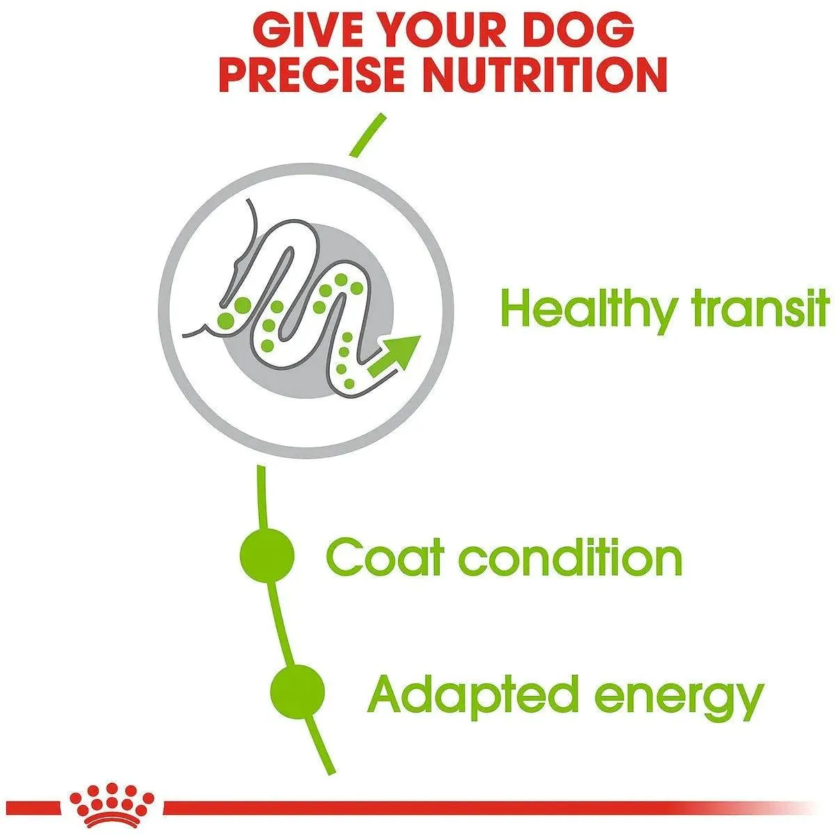 Royal Canin® Size Health Nutrition™ X-Small Adult Dry Dog Food
