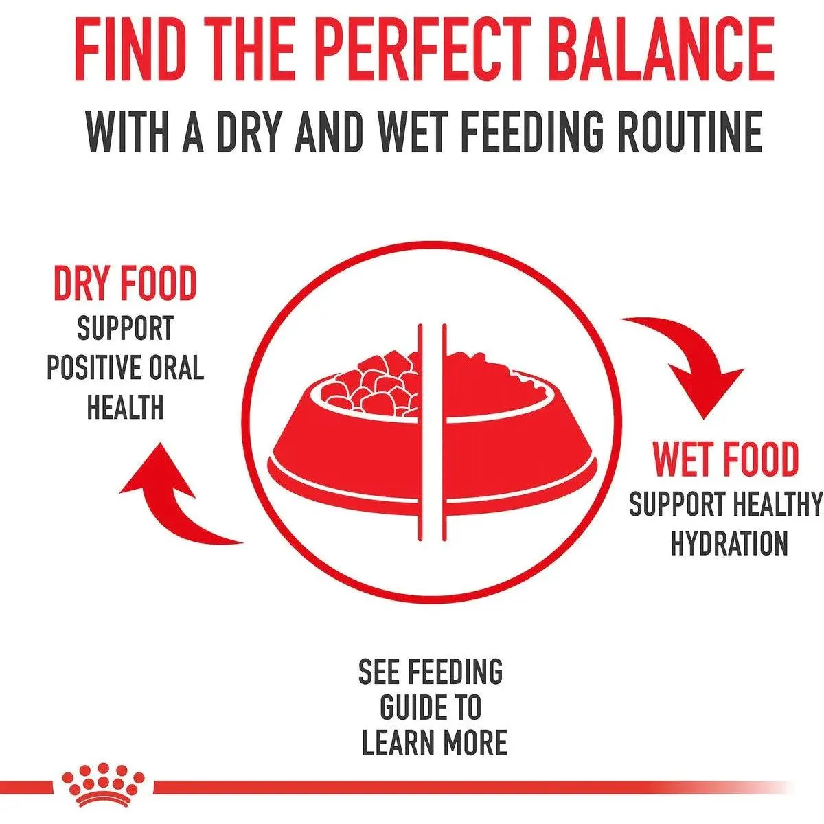 Royal Canin® Size Health Nutrition™ X-Small Adult Dry Dog Food