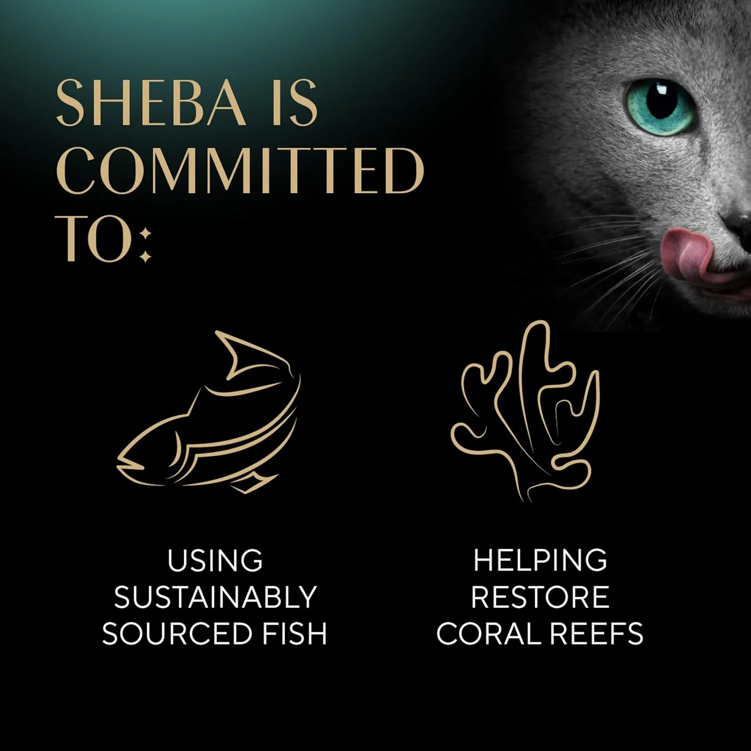 Sheba Meaty Tender Sticks Soft Cat Treats with Chicken, 0.14 oz., 5 Count (Pack of 10)