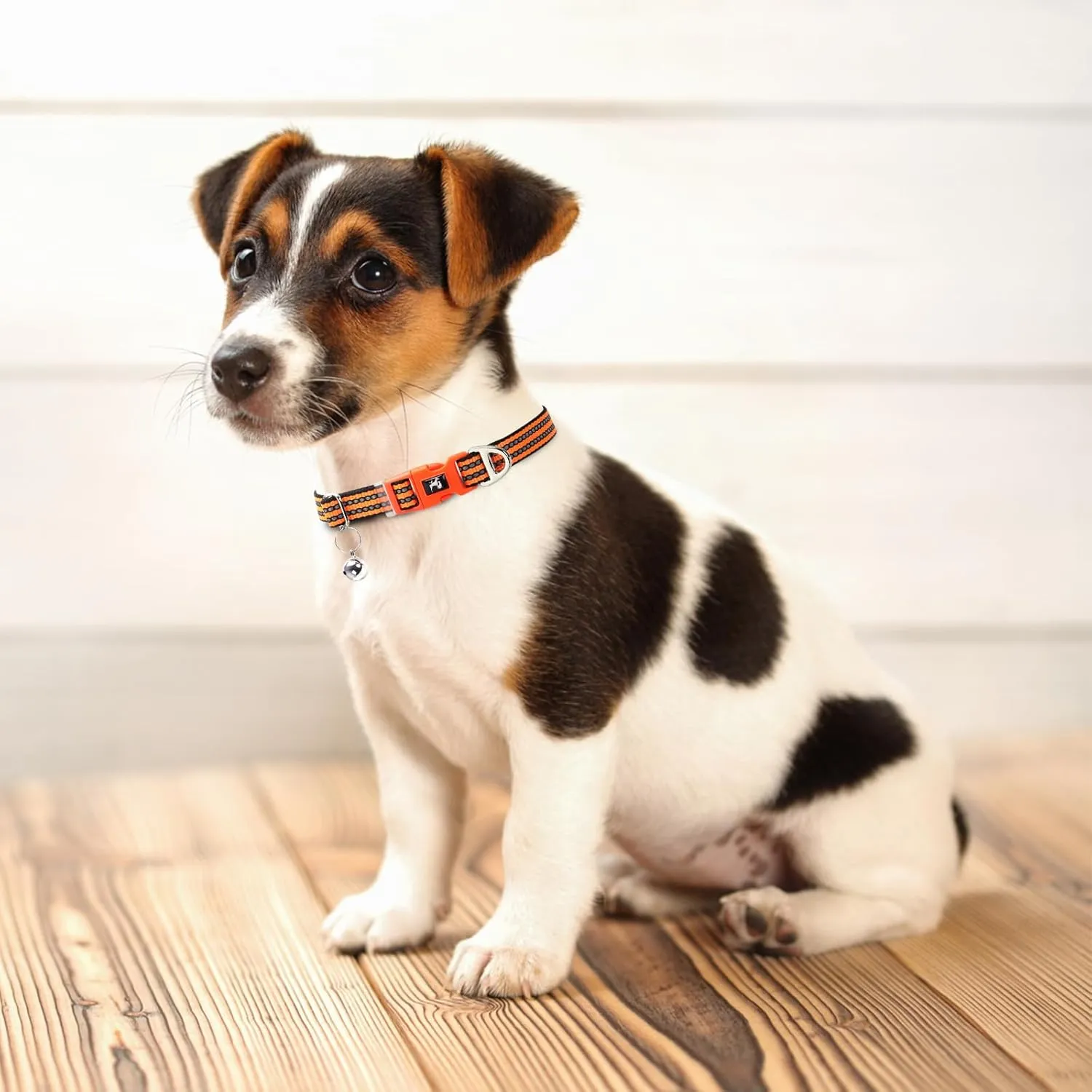Small Dog Collar with Bell - Reflective Soft Adjustable Nylon Collar for XXS XS Breeds, Lightweight & Comfortable for Tiny Dogs -Orange S