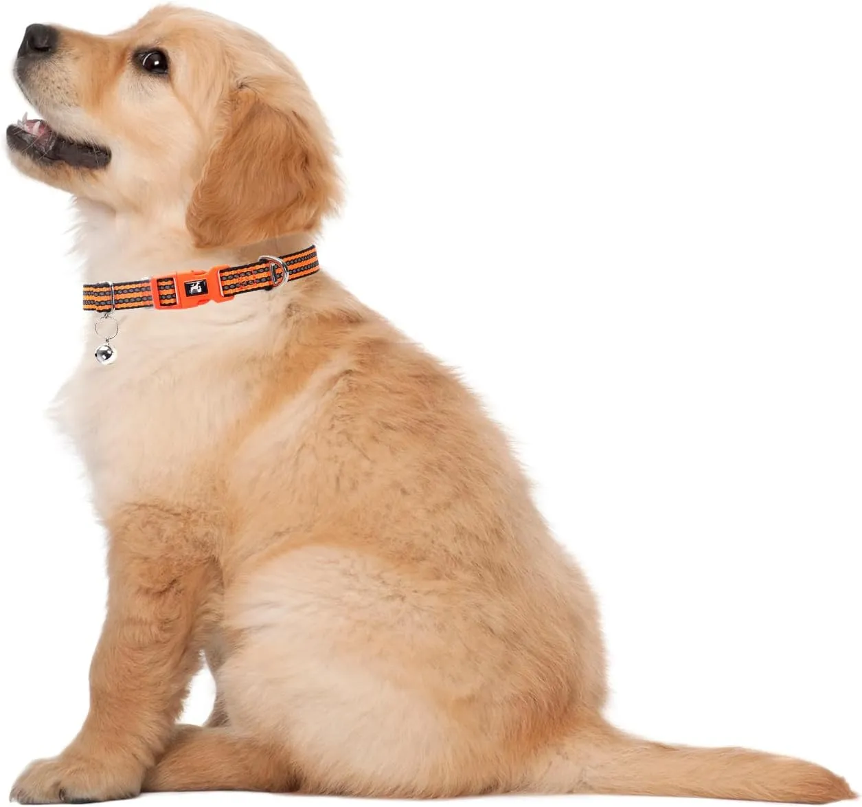 Small Dog Collar with Bell - Reflective Soft Adjustable Nylon Collar for XXS XS Breeds, Lightweight & Comfortable for Tiny Dogs -Orange S