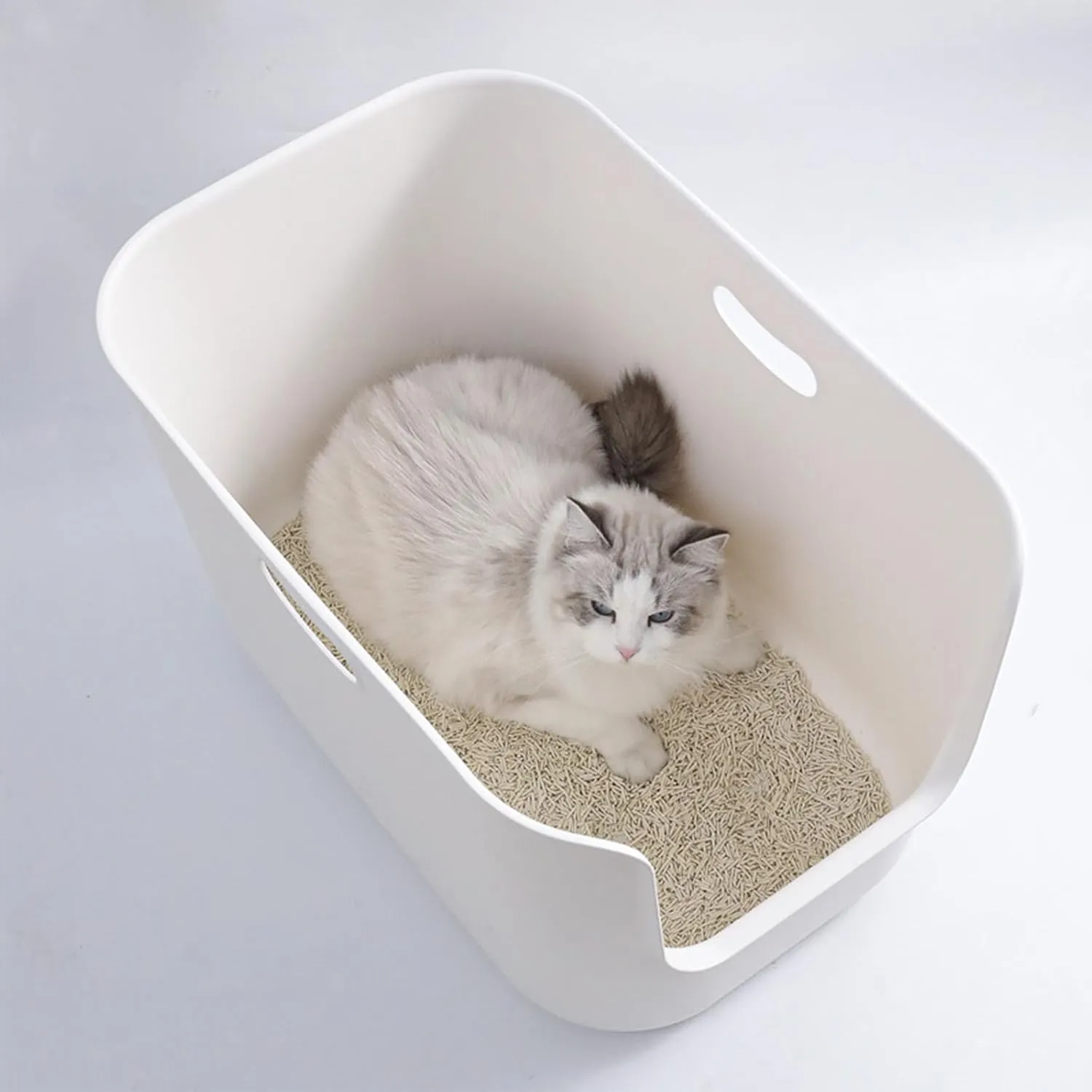 SpaceTime Extra Large Litter Box with High Sides,22.64"14.76"13.98" XL Multi Cat Litter Pan for Kitty,Cat Boxes for Indoor Cats,Jumbo Litter Boxes for Big Cats,Anti-Splashing,Easy to Clean