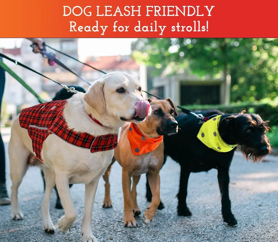 SPOT THE DOG! Reflective Dog Collar - Adjustable Pet Collars, Safe, Durable, Comfortable Dog Walking Accessories for Large Dog, Hunting Dog, Puppy, Lightweight Boy, Girl Dog Collars (Neon Blue, M)