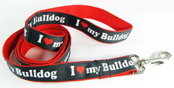 USA Flag cat or small dog collar 1/2" wide adjustable handmade bell or leash Petcollarshandmade