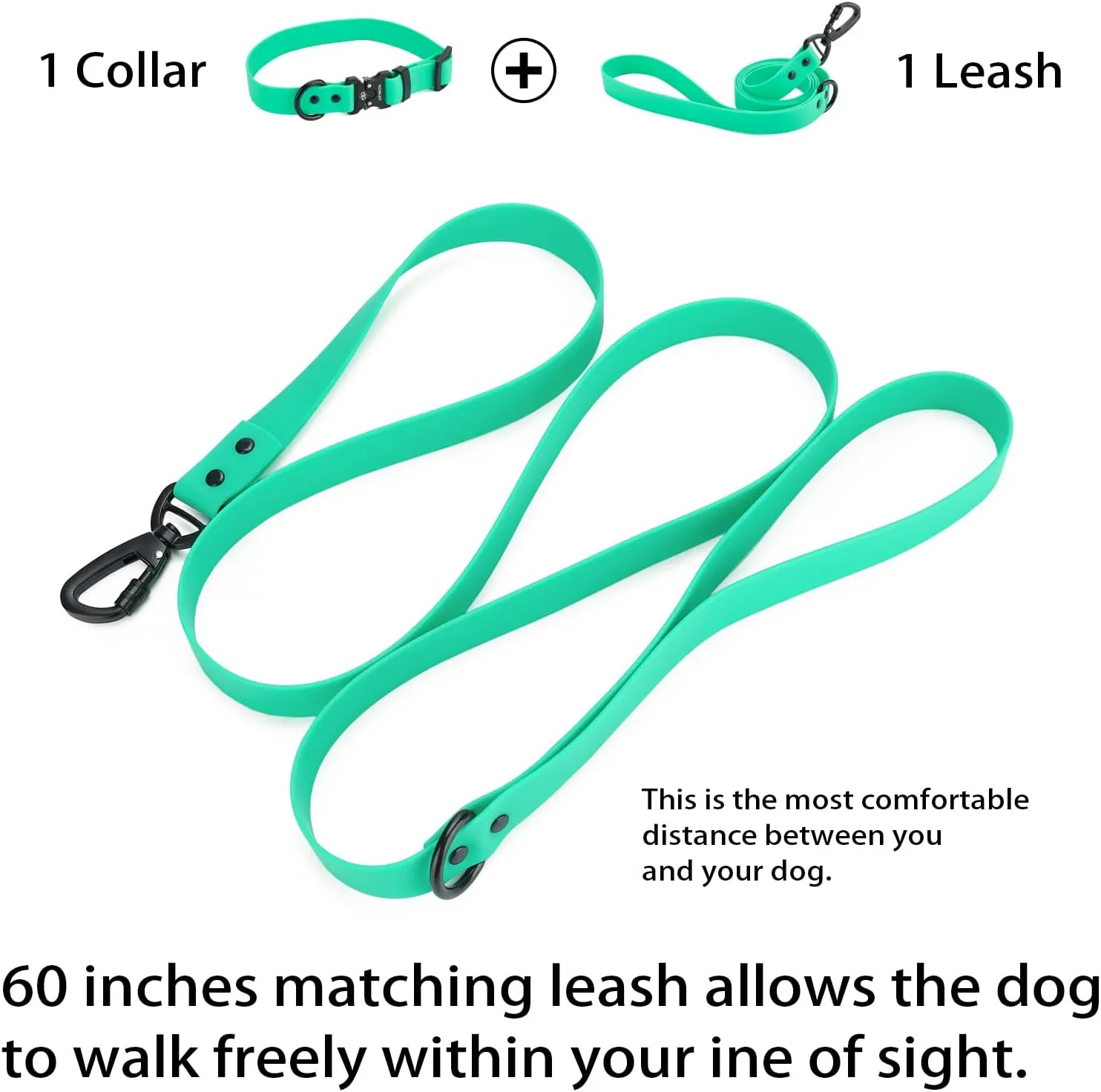 Waterproof Dog Collar and Leash Set Adjustable Quick Release Buckle Collar Leash for Small Medium Large Dogs (Small, Green)