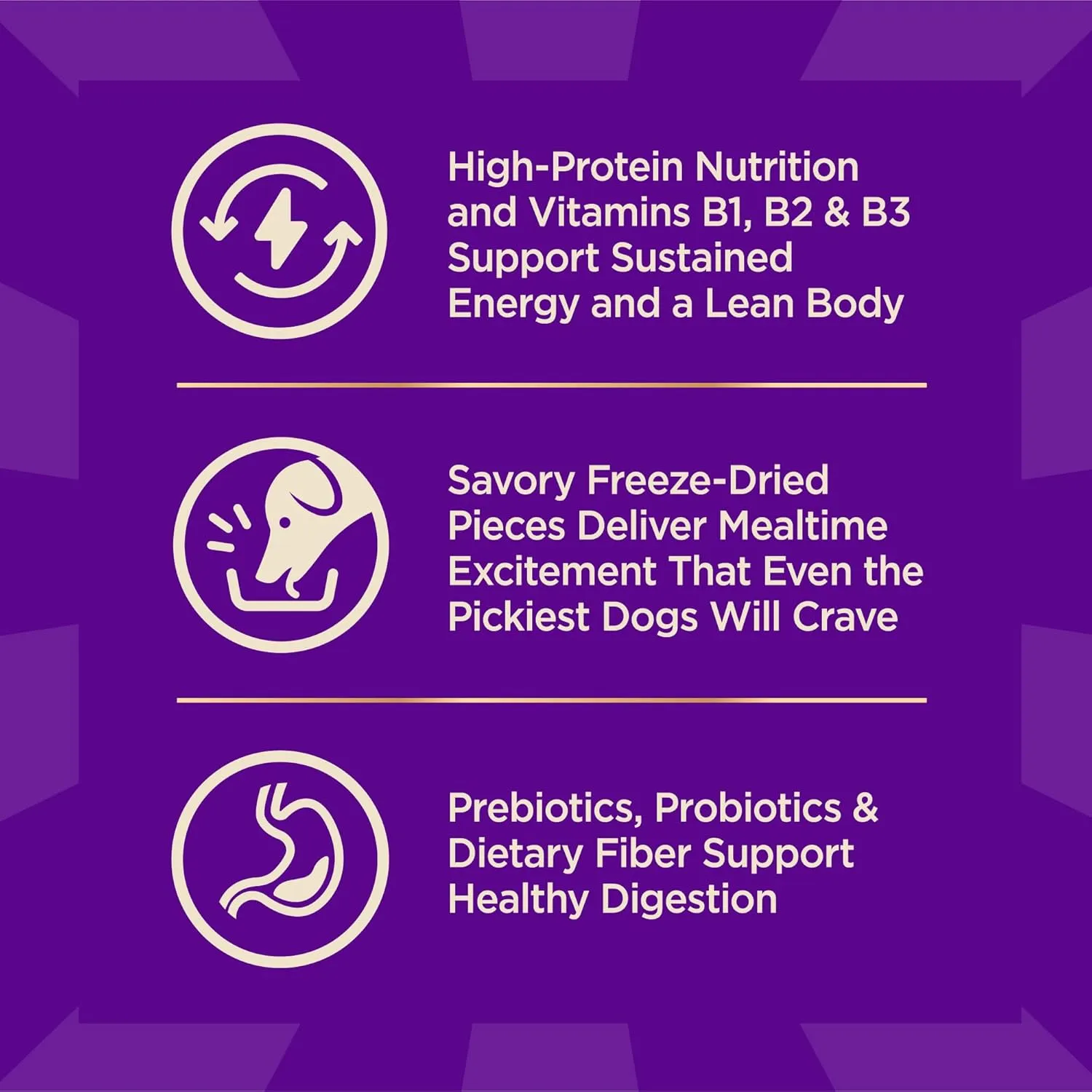 Wellness CORE  (Formerly RawRev) Dry Dog Food with Freeze Dried Pieces, Wholesome Grains, High Protein, Natural, Ocean Whitefish & Herring Recipe, (4-Pound Bag)
