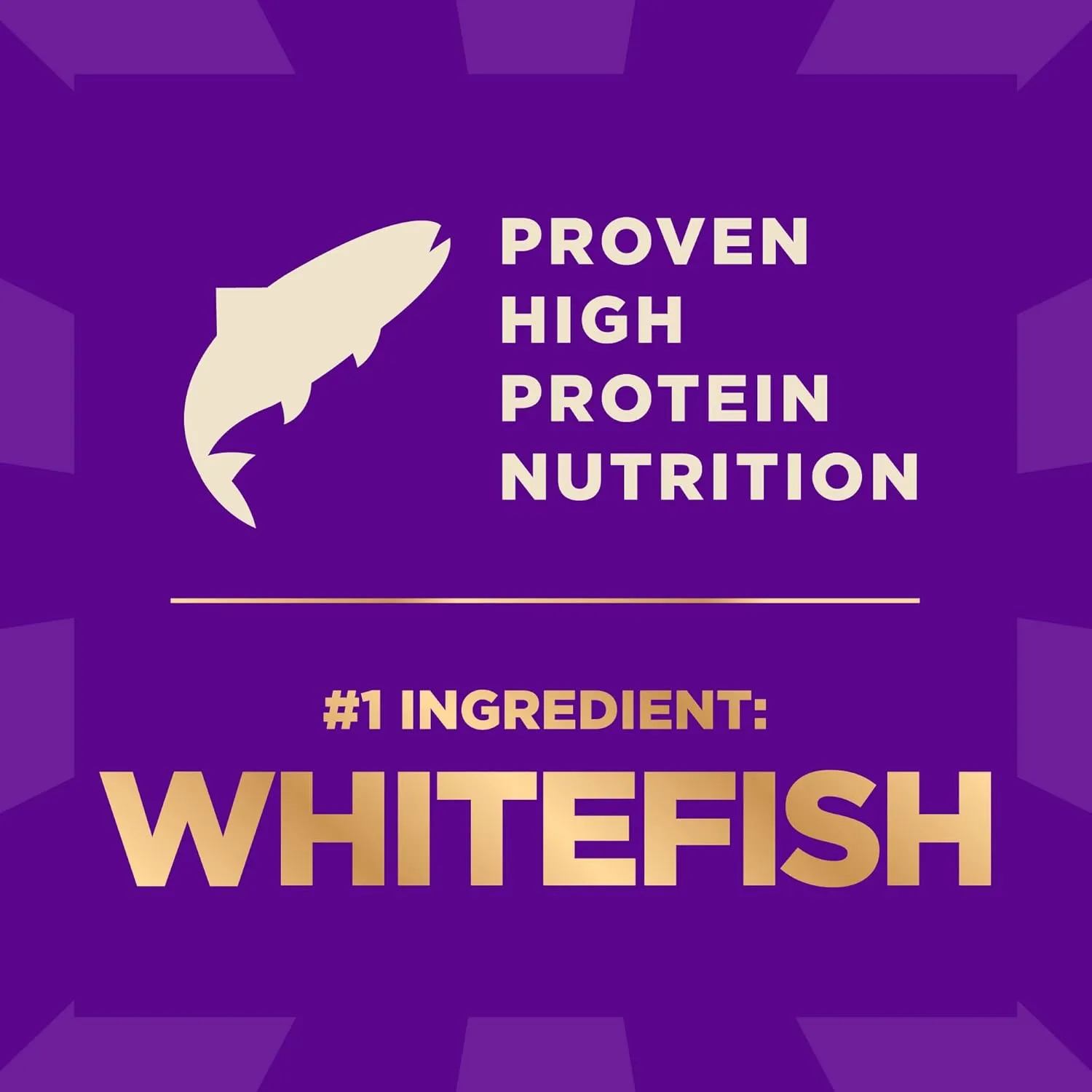 Wellness CORE  (Formerly RawRev) Dry Dog Food with Freeze Dried Pieces, Wholesome Grains, High Protein, Natural, Ocean Whitefish & Herring Recipe, (4-Pound Bag)